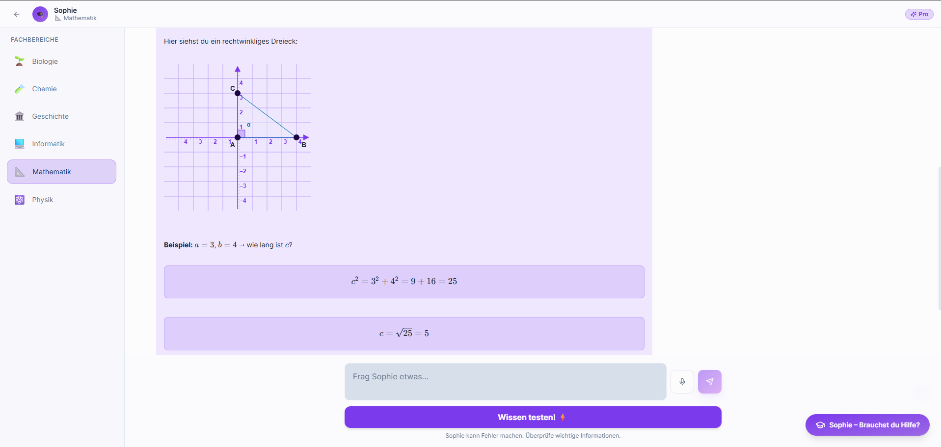 Sophie erklärt den Satz des Pythagoras mit Dreieck-Grafik und konkreter Rechnung.